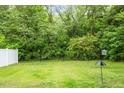 Beautiful backyard with manicured lawn and partial privacy fence at 4048 B S Nc 62 Hwy, Burlington, NC 27215