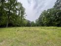 Spacious grassy lot surrounded by lush trees and foliage under a cloudy sky at 4628 Rogers Rd, Wake Forest, NC 27587
