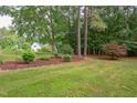 Lush backyard featuring green grass and mature trees, creating a peaceful outdoor space at 504 Belmont Cir, Wake Forest, NC 27587