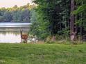 Picturesque backyard with deer grazing near a tranquil lake and mature trees at 7483 Danford Rd, Burlington, NC 27215