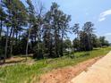 A scenic view of lush green trees and grass leading to a serene lake, showcasing natural beauty at 330 Cottage Hill Way, Knightdale, NC 27604