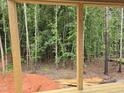 A framed view of a peaceful woodland area from the vantage point of the newly built porch structure at 3905 Cedar Knolls Dr, Youngsville, NC 27596