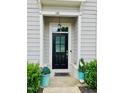 Inviting front door with decorative plants and a hanging lantern, adding curb appeal at 142 Philips Sq, Chapel Hill, NC 27516