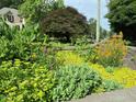 Beautiful garden with a variety of colorful plants, including yellow flowers and lush greenery at 582 Wimbleton Dr, Raleigh, NC 27609
