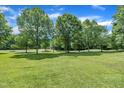 Scenic backyard view with mature trees, providing shade and privacy at 113 Feezor Ct, Clayton, NC 27527