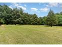 Spacious manicured lawn at 197 Country Routt Brown Rd, Pittsboro, NC 27312
