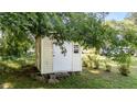 A backyard storage shed with a door and small window, sheltered by trees at 208 Essex Rd, Nashville, NC 27856