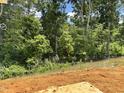 Spacious lot with lush trees and vegetation ready for customization to create a dream backyard at 1087 Fairhaven Dr # 48, Mebane, NC 27302