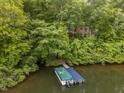 Lakeside home with private dock and boat, surrounded by mature trees and lush greenery at 343 Lakewood Pointe Dr, Roxboro, NC 27574