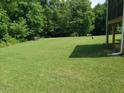 Expansive, well-maintained backyard with lush green grass, bordered by mature trees for added privacy at 115 Jensen Dr, Wendell, NC 27591
