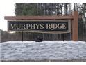 Elegant community sign 'Murphys Ridge' on a stone base, set against a backdrop of trees at 4450 Poppy Mallow Ln, Oxford, NC 27565