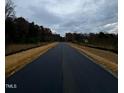 New road to a lot that will be ready for your new home! at 4452 Poppy Mallow Ln, Oxford, NC 27565