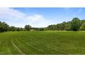 A large open green yard with few trees and a house in the distance on a partly cloudy day at 5200 Mrs Fuller Rd, Mebane, NC 27302
