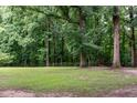 Expansive backyard with mature trees, offering a serene and private outdoor space at 2532 Rolling Meadows Dr, Raleigh, NC 27603