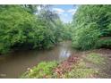 Scenic creek surrounded by lush greenery offering a private, natural setting at 4777 Helena Moriah Rd, Rougemont, NC 27572