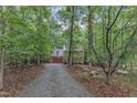 Secluded home nestled in a lush forest setting with a long driveway and mature trees at 105 Trailwood Ct, Chapel Hill, NC 27516