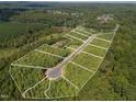 Aerial view of lush wooded lots ready for development with clearly defined property lines at 441 Lila Dr, Pittsboro, NC 27312