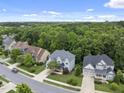 Expansive aerial view showcasing a desirable neighborhood surrounded by lush greenery and mature trees at 106 Painted Turtle Ln, Cary, NC 27519
