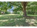 Picturesque backyard featuring a mature tree providing ample shade over a lush green lawn at 28 White Oak Dr, Smithfield, NC 27577
