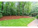 Lush backyard featuring mature trees, a grassy area, and a patio, perfect for outdoor relaxation and entertaining at 4521 Chicopee Trl, Durham, NC 27707
