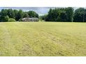 This home boasts an expansive yard, complemented by lush, mature trees at 65 Opie Frazier Rd, Henderson, NC 27537