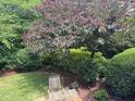Landscaped backyard area with mature trees, a small lawn and space to relax outdoors at 1210 Brooks Ave, Raleigh, NC 27607