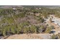 Picturesque aerial view of the property highlighting the serene wooded acreage at 2630 Ponderosa Rd, Cameron, NC 28326