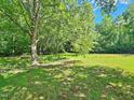 Lush, green backyard with mature trees providing ample shade at 5614 Skyline Dr, Durham, NC 27712