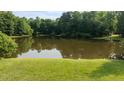 Scenic view of a tranquil pond surrounded by lush greenery, offering a peaceful retreat at 5344 Mill Dam Rd, Wake Forest, NC 27587