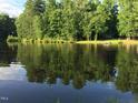 Scenic waterfront view with a tranquil pond and lush greenery, perfect for nature lovers at 5344 Mill Dam Rd, Wake Forest, NC 27587