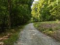 Scenic gravel driveway winding through a canopy of trees, offering privacy and a sense of seclusion at 6760 Keansburg Rd, Gibsonville, NC 27249
