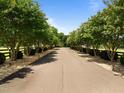Long, tree-lined driveway leading to a distinguished home at 1624 Hopkins Rd, Bahama, NC 27503