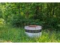 Utility access point in the middle of a heavily wooded area at 7104 Camp Branch Ln, Apex, NC 27502