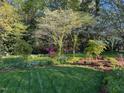 Lush backyard garden with mature trees and meticulously landscaped greenery for serene outdoor enjoyment at 1004 E Willowbrook Dr, Burlington, NC 27215