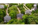 Aerial view of houses with mature trees and manicured lawns in a well-maintained neighborhood at 3908 Sterling Ridge Ln, Durham, NC 27707