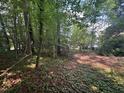 A heavily wooded backyard with dense trees providing lots of shade and privacy at 1305 Lennox Pl, Raleigh, NC 27612