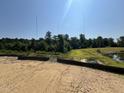 Establishing shot of a backyard and its surrounding undeveloped land with a clear, sunny sky at 267 Meadowbark Bnd # 34, Garner, NC 27529