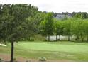 Beautiful golf course backyard with a large, well-maintained green, surrounded by mature trees and a pond at 1512 Obrien Cir, Wake Forest, NC 27587