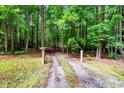 Long gravel driveway leading through a lush, green forest towards the property at 224 Oakcrest Dr, Wake Forest, NC 27587