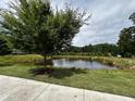 Scenic view of a tranquil pond with a mature tree on a lush green lawn, creating a serene environment at 656 Barneswyck Dr, Fuquay Varina, NC 27526