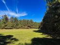 Expansive green lot bordered by lush trees under a bright blue sky, ideal for building or recreation at 126 Mildred Place, Broadway, NC 27505