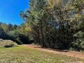 A picturesque wooded lot with vibrant greenery and a clear blue sky offers a serene and natural setting at 126 Mildred Place, Broadway, NC 27505