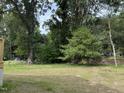 Spacious backyard filled with lush greenery and mature trees offering lots of shade at 2309 Pinecroft Dr, Burlington, NC 27217
