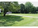 Long driveway leading to the house with a large lawn and mature trees on either side at 2071 Meadow Ln, Graham, NC 27253