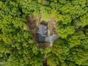 Aerial view of a home surrounded by lush green trees, showcasing the property's private setting at 5402 Shealtiel Way, Rougemont, NC 27572