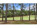Beautiful view of the golf course surrounded by tall pine trees and lush greenery at 763 Heritage Arbor Dr, Wake Forest, NC 27587