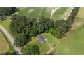 Aerial view of a house with a large yard surrounded by trees and farmland at 445 Lee County Line Rd, Broadway, NC 27505
