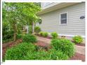 Landscaped front yard featuring lush greenery and a walkway to the front door at 805 N Columbia St, Chapel Hill, NC 27516