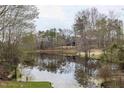 Reflections of mature trees surround a lush pond with a home nestled in the back at 12037 Deer Run, Raleigh, NC 27614