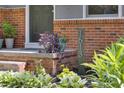 Charming home entrance featuring brick accents and well-manicured landscaping at 1613 Euclid Rd, Durham, NC 27713